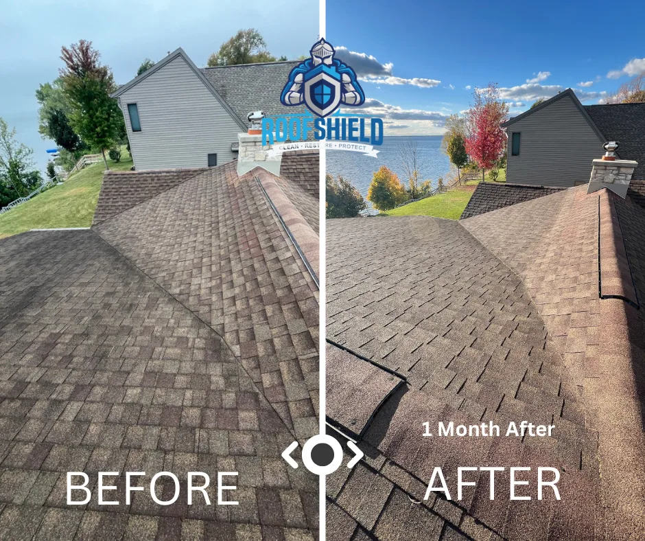 Roof before treatment and one month after treatment