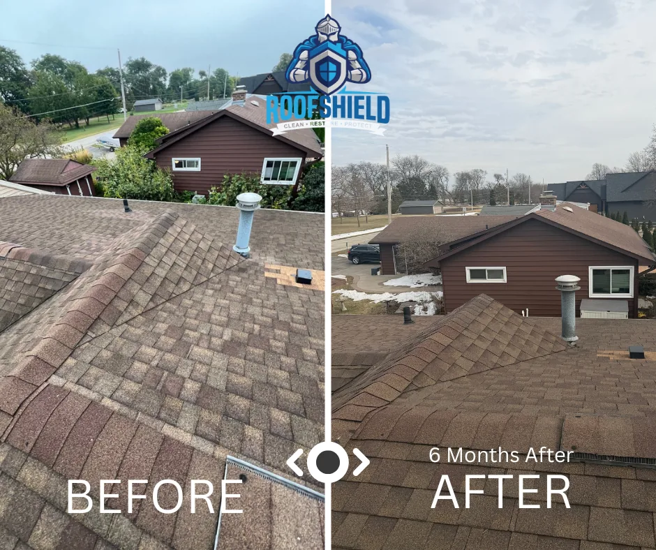 Close view of shingles before treatment and the same roof six months after