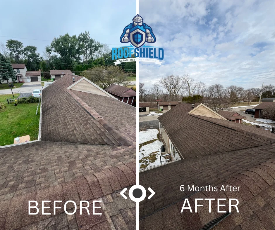 Roof plane before treatment and six months after treatment