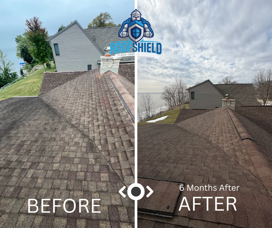 Split view of a shingle roof before treatment and six months after